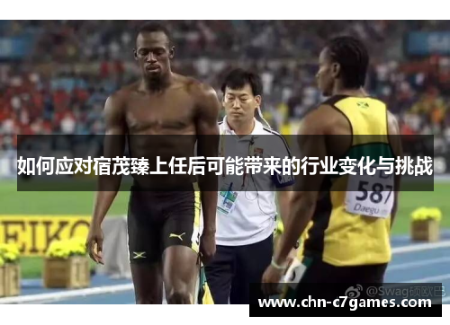 如何应对宿茂臻上任后可能带来的行业变化与挑战