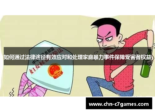 如何通过法律途径有效应对和处理家庭暴力事件保障受害者权益
